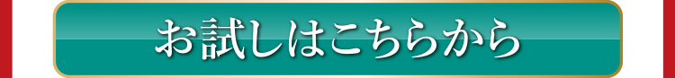 お試しはこちらから